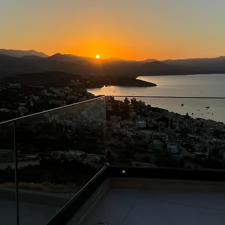 Panoramic