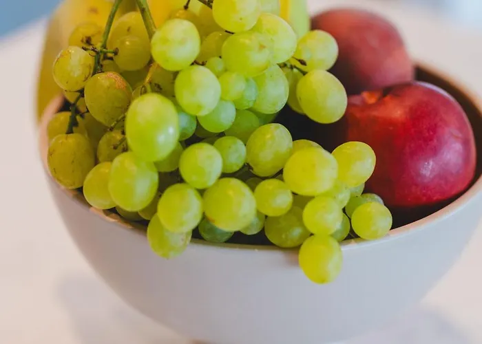 Villa Panoramic Tolón